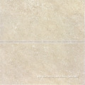 2016 Foshan Hotsale 60x60 Full body ceramic wall tiles 66CN01P